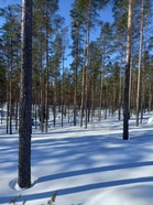 Näillä seuduilla kirmaillaan neljännessä osakilpailussa.