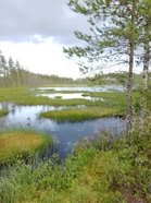 Vai oisko tässä hyvä pesupaikka? No ei sentään.