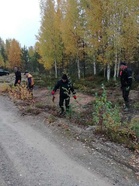 Sitten parkinputsaustalkoisiin.