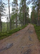 Näitä polkuja tallaan... Ajatus ja katse jo ensi kesässä ja Rastiviikossa. Hyvää joulua ja kiitokset tähänastisesta kaikille mukana touhunneille!  