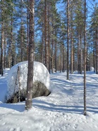 Oisko hyvä rastinpaikka?