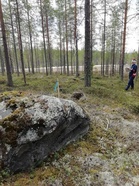 Suon ja rinteiden reunat vielä osittain lumiset, mutta hyvin painui keppi maahan, ei routahäiriöitä.