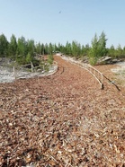 Hyvä on kirmata tasoitettua raittia maaliin.