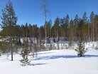 Osittain hyvä näkyvyys.