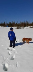Kilpailukeskuspäällikkö etsii lumikolaa, päivä 7.5.
