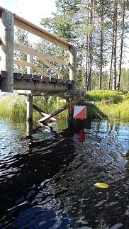 Melontasuunnistus